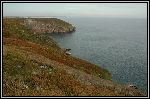 Img2005-09-05 091719.jpg